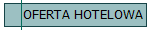 OFERTA HOTELOWA