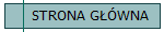 STRONA G��WNA