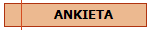 ANKIETA
